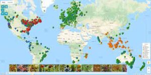Global Distribution of Carnivorous Plants